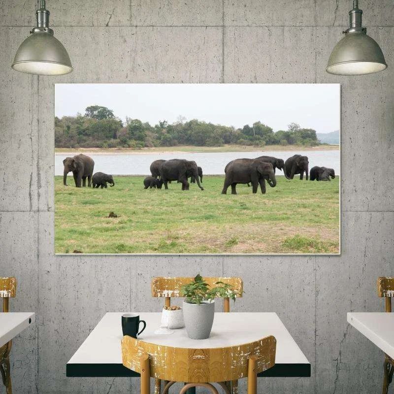 20x30 Canvas Prints
